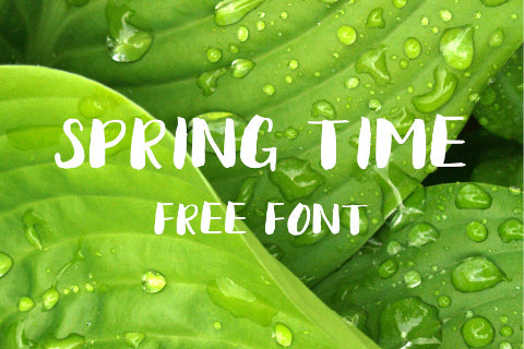 Free Spring Time Brush Typeface