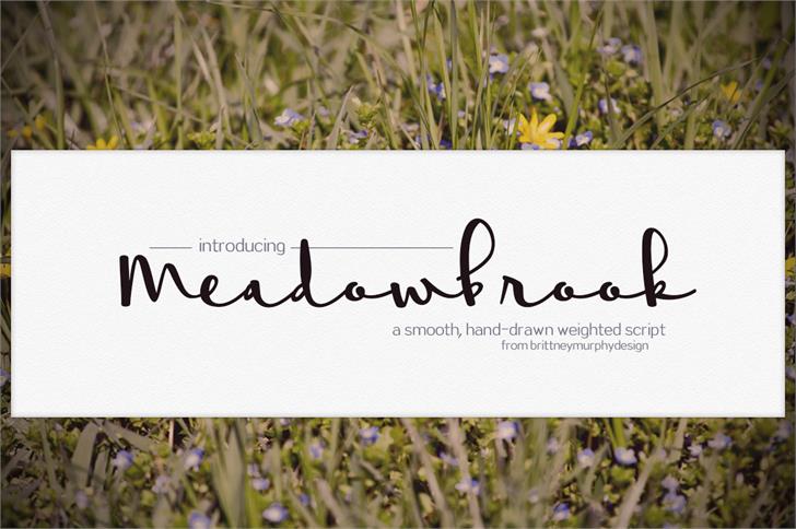 Free Meadowbrook Font