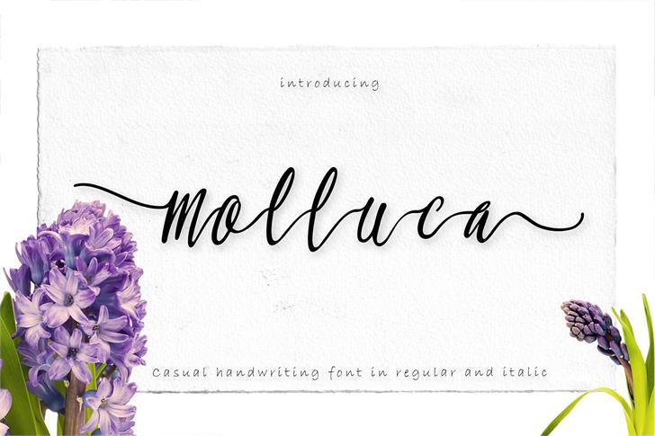 Free Molluca Font