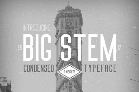 Free Big Stem Demo Typeface