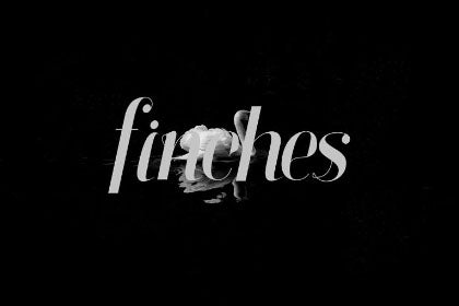 Free Finches Serif Italic Font