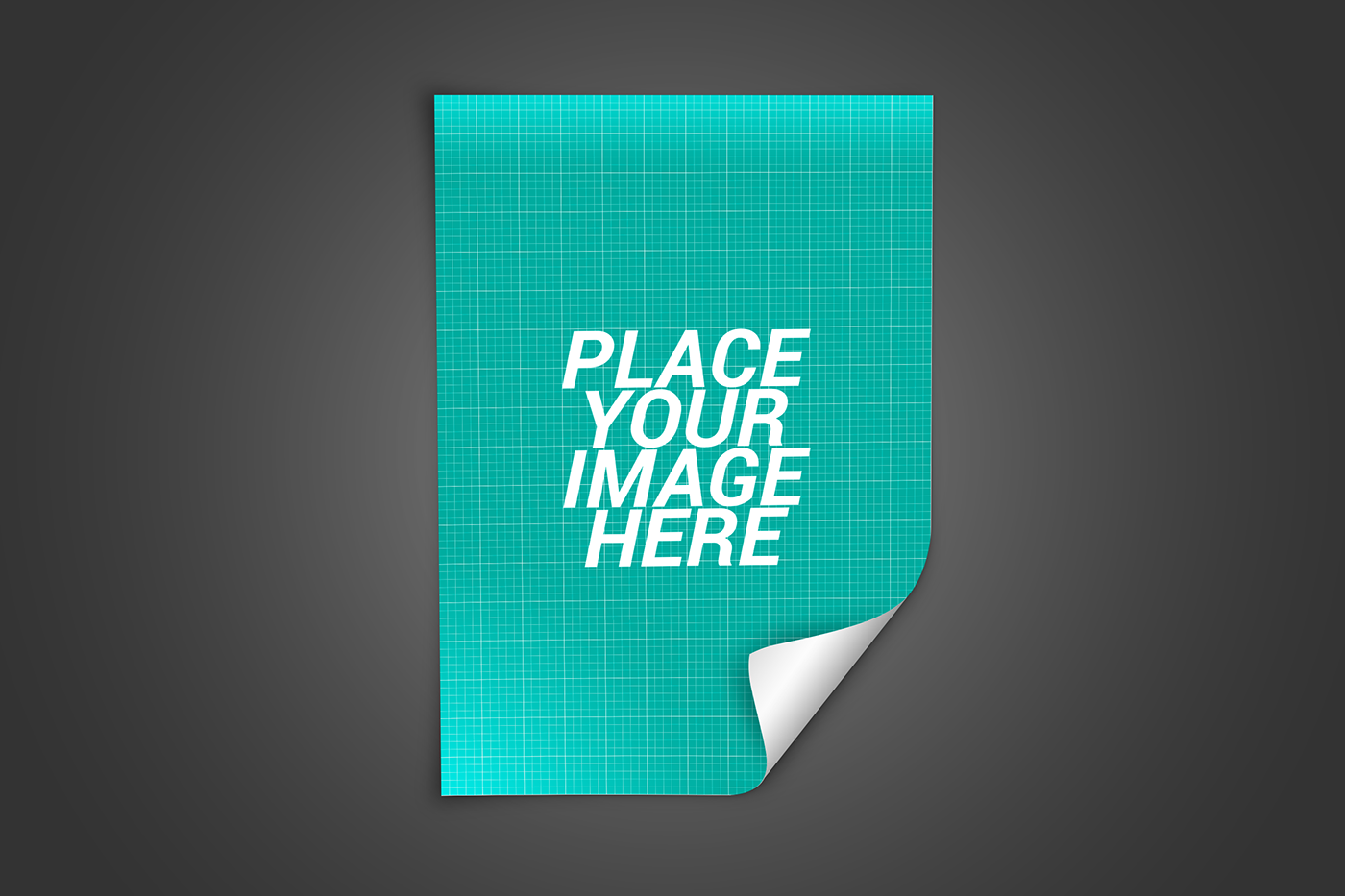 Free PSD Files of Flyer Mockups
