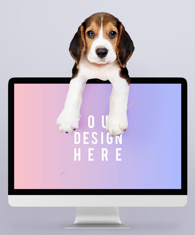 Free Adorable Beagle Puppy With A Computer Monitor Mockup Psd