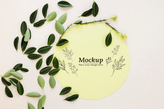 Free Arrangement Of Mock-Up Card With Leaves Psd