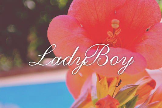 Free LadyBoy Font