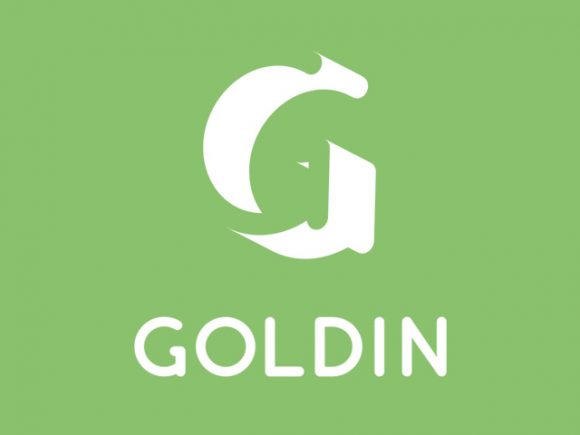 Free Goldin rounded typeface
