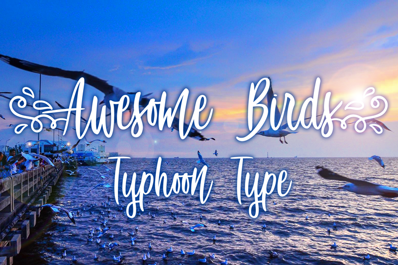 Free Awesome Birds Font
