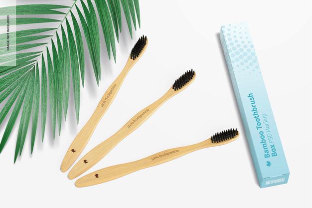 Free Bamboo Toothbrushes With Box Mockup Psd