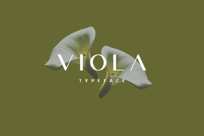 Free Viola Minimal Typeface
