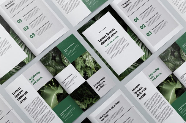 Free Brochure Concept Mock-Up Psd