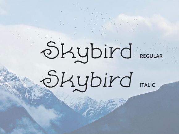Free Skybird Rough A crazy font