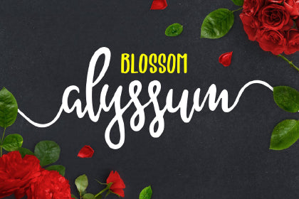 Free Alyssum Blossom Font Demo