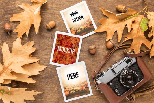 Free Camera And Photos With Autumn Leaves Psd