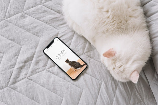 Free Cat And Smartphone Mockup On Couch Psd