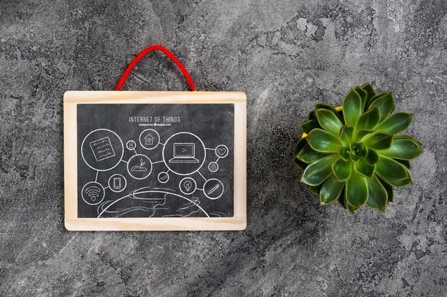 Free Chalkboard Mock-Up With Plant Psd