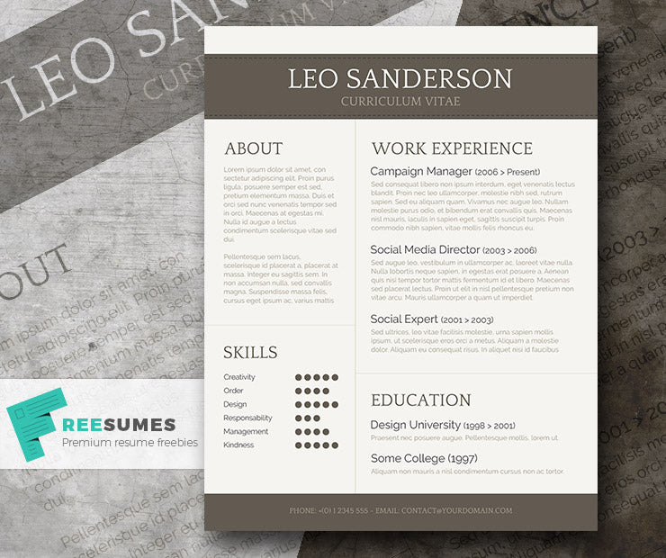 Free Professional Conservative CV Resume Template in Microsoft Word (DOC) Format