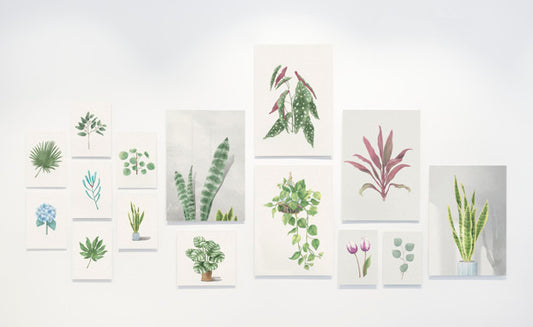 Free Collection Of Leaf Paintings On A Wall Psd