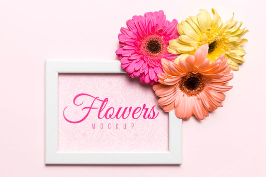 Free Colorful Daisies On White Frame Psd