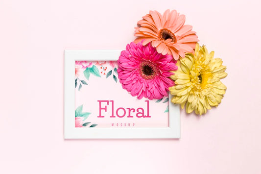 Free Colorful Flowers On White Frame Psd