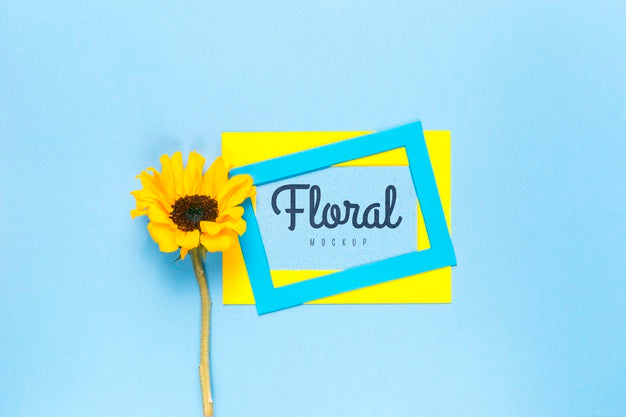 Free Colorful Frames With Yellow Daisy Psd