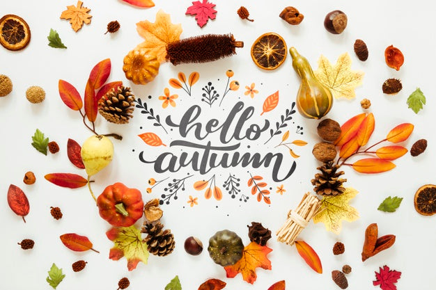 Free Colourful Decor Of Dried Autumn Leaves Psd