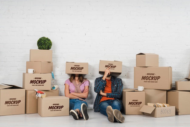 Free Couple Posing Silly With Moving Boxes Over Their Heads Psd