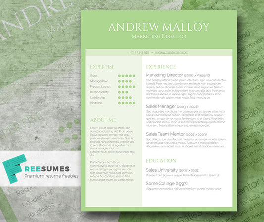 Free Creative Green CV Resume Template in Minimal Style in Microsoft Word (DOC) Format