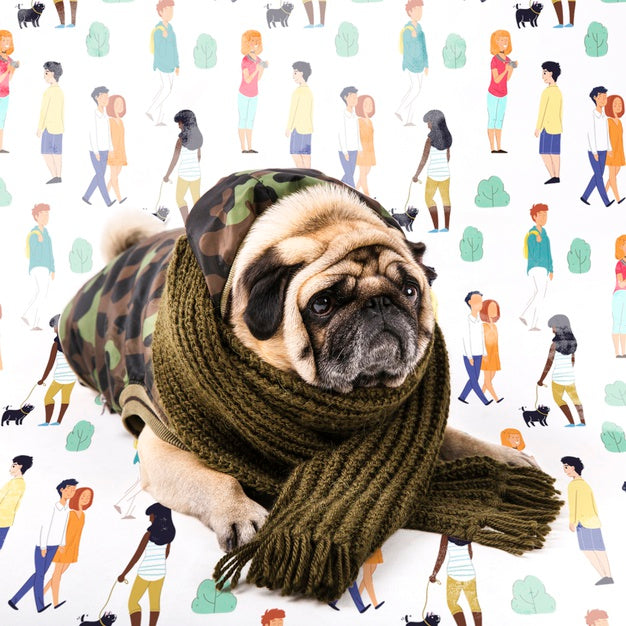 Free Cute Dog Covered With Winter Clothing Psd