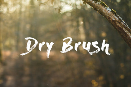 Free Dry Brush Font