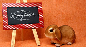 Free Easter Bunny Easel Chalkboard Mockup Psd