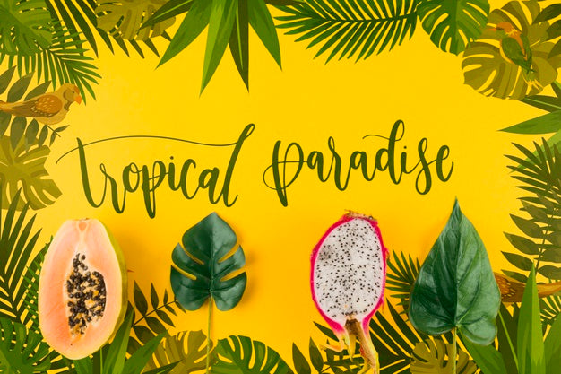 Free Flat Lay Copyspace Mockup With Tropical Leaves Psd