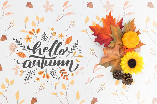 Free Flat Lay Of Colorful Leaves And Flower Psd