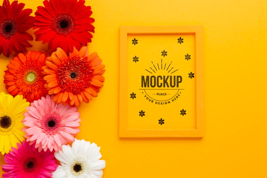 Free Flat Lay Of Daisies With Frame Psd