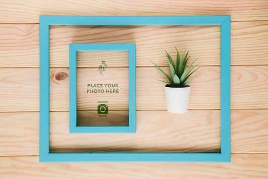 Free Flat Lay Of Frame In Frame With Succulent Psd