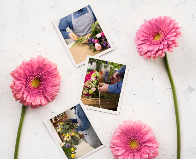Free Flat Lay Of Photos With Spring Daisies Psd