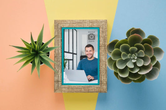 Free Flat Lay Of Simplistic Frame With Succulents Psd