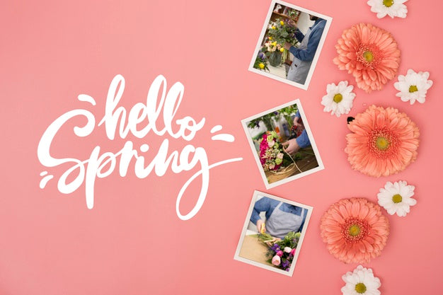 Free Flat Lay Of Spring Daisies With Photos And Chamomile Psd