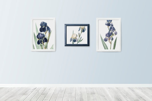 Free Floral Pictures In Frames Psd