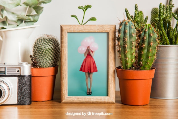 Free Frame Mockup With Cactus Decoration Psd