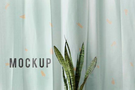 Free Fresh Snake Plant In Front Of A White Curtain Mockup Psd