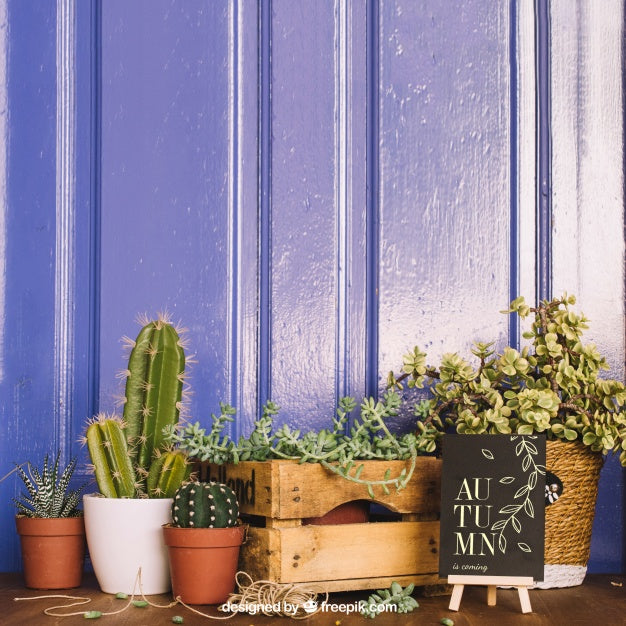 Free Gardening Mockup With Cactus And Board Psd