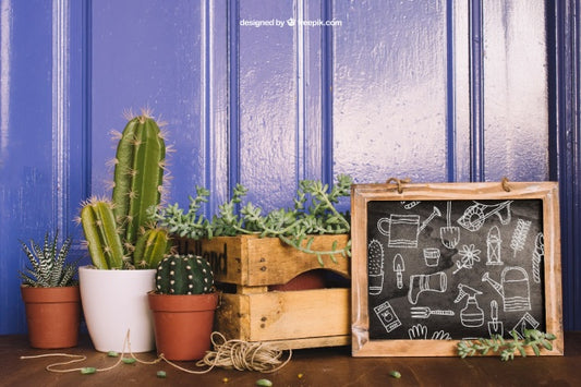 Free Gardening Mockup With Three Cactus And Slate Psd
