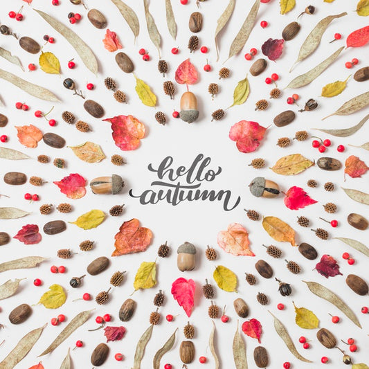 Free Hello Autumn Quote With Dried Leaves On White Background Psd