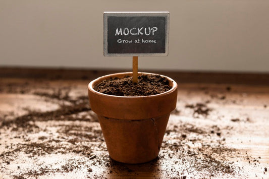 Free Home Gardening Arrangement With Plant Frame Mock-Up Psd