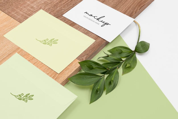 Free Minimal Stationery And Plant Arrangement Psd