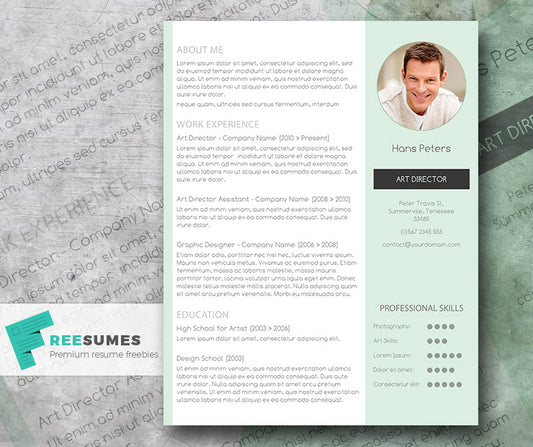 Free Modern Streamlined CV Resume Template in Minimal Style in Microsoft Word (DOC) Format