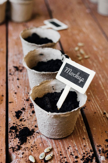 Free Mock-Up Plant Pots Filled With Soil High View Psd