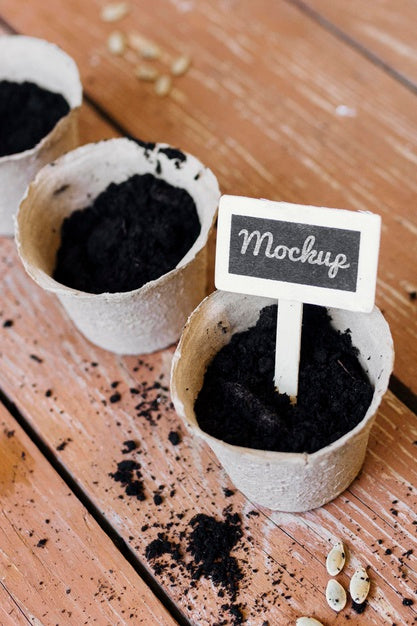 Free Mock-Up Plant Pots Filled With Soil Psd