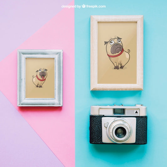 Free Mockup With Two Frames And Camera Psd