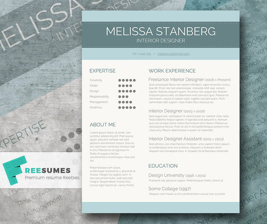 Free Modern Stylish CV Resume Template in Minimal Style in Microsoft Word (DOC) Format
